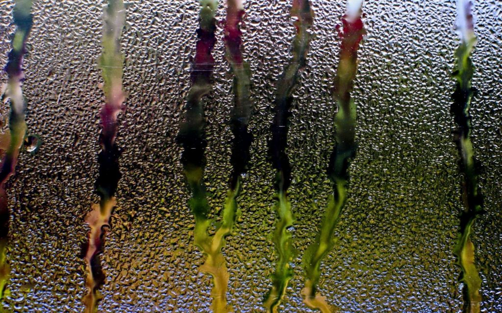 1680x1050_rain-glass-window-water-drops-streams-background