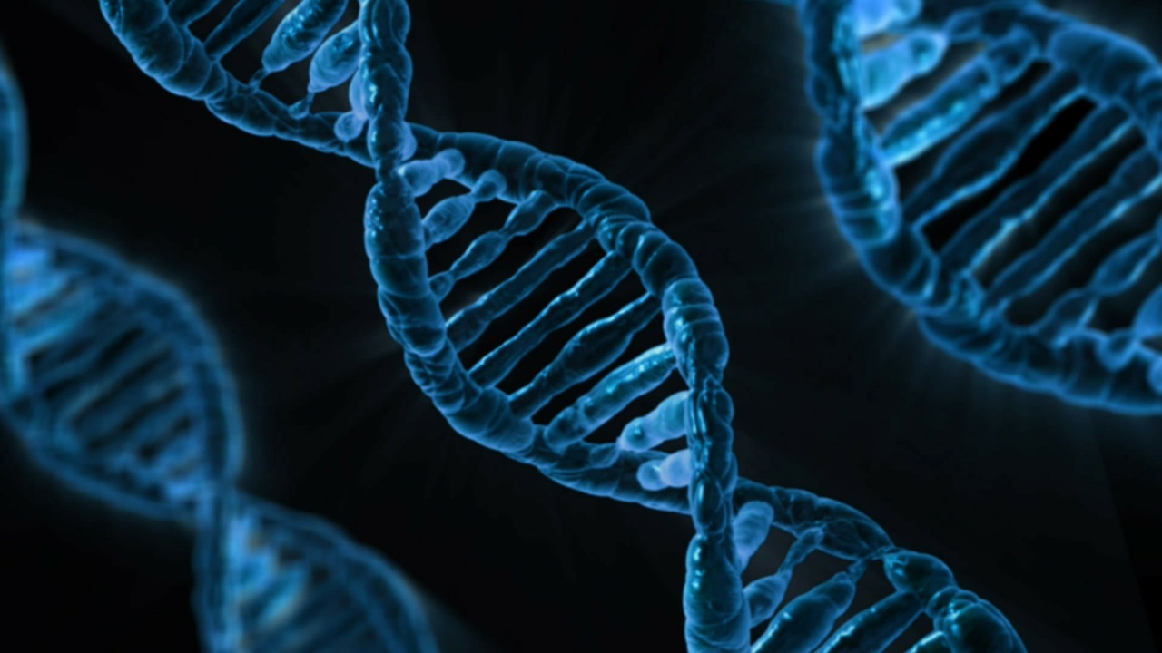 SCIENZIATI SCOPRONO PARTI DEL DNA UMANO CHE NON PROVIENE DAI NOSTRI ANTENATI. SI STRATTA DI GENOMA ALIENO